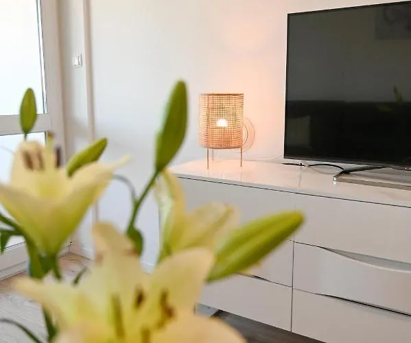 Armando Lejlighed Zadar